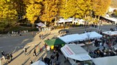 Festa della Castagna3