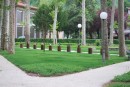 I giardini